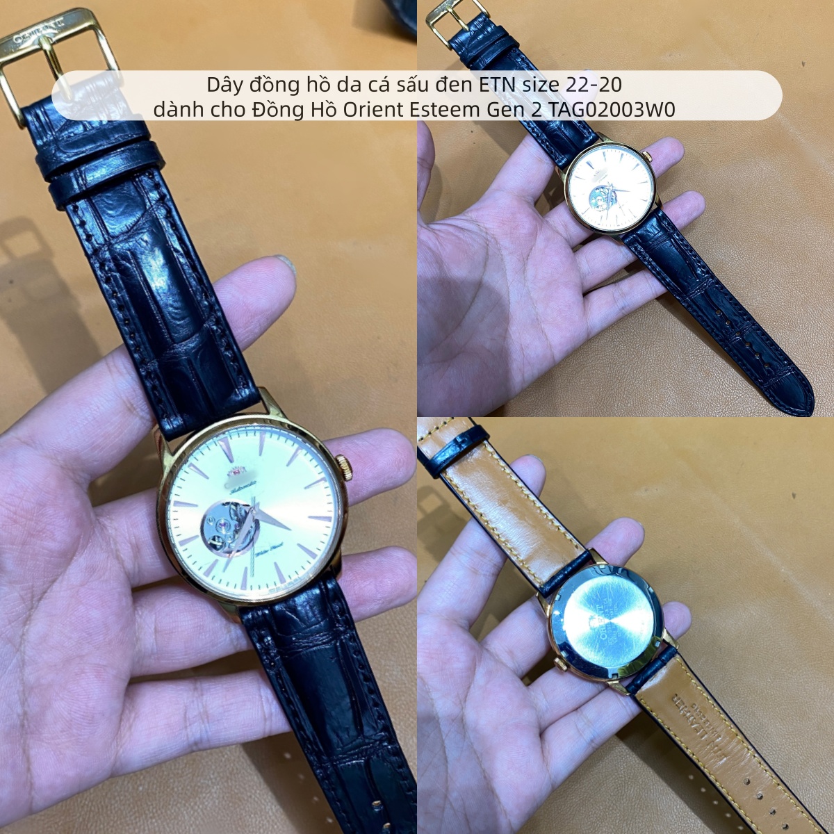 Orient Esteem Gen 2 TAG02003W0 size 22-20_Copy