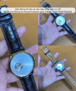 Dây đồng hồ da cá sấu nâu ETN size 22-20 dành cho Đồng hồ Orient Esteem gen 2 Rose Gold TAG02002W0
